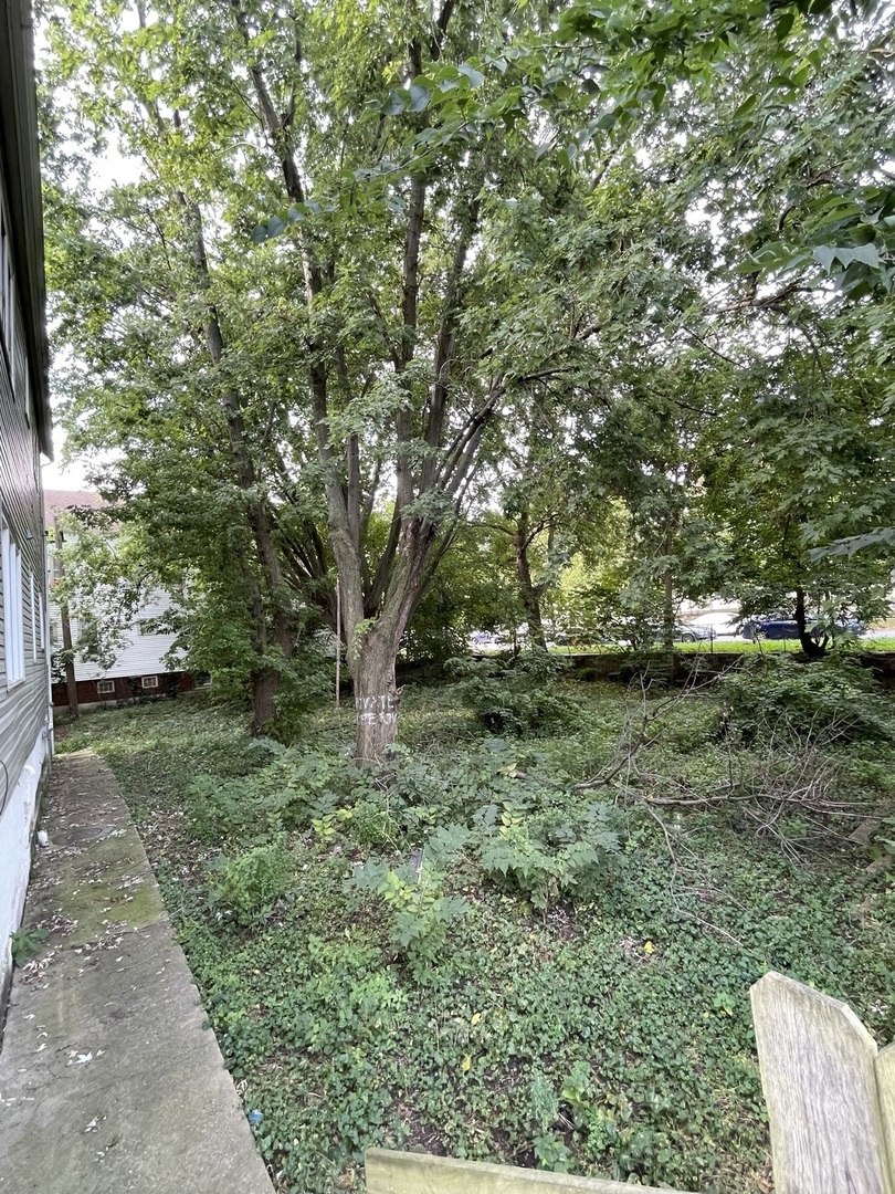 2841 East 89th Street Chicago, IL 60617 - Photo 4 of 8 a view of backyard with green space