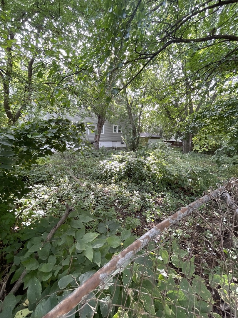 2841 East 89th Street Chicago, IL 60617 - Photo 5 of 8 a view of a lush green forest