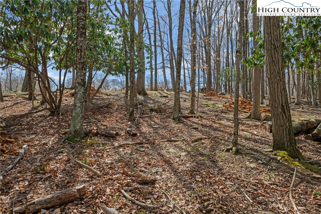 Lot 36 Poplar Forest Drive Boone, NC 28607 - Photo 11 of 21 a backyard of a house with lots of green space