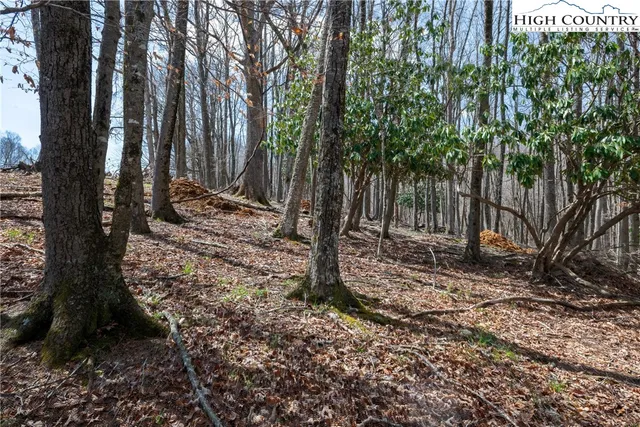 a view of outdoor space with garden