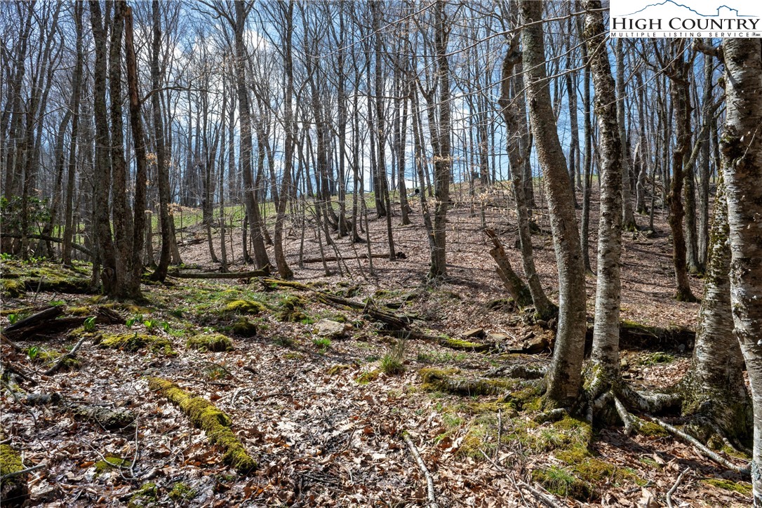 Lot 36 Poplar Forest Drive Boone, NC 28607 - Photo 13 of 21 a view of outdoor space with garden