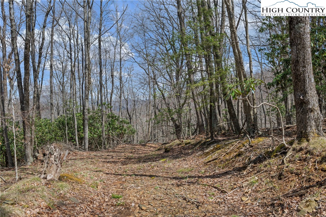 Lot 36 Poplar Forest Drive Boone, NC 28607 - Photo 14 of 21 a backyard of a house with lots of green space