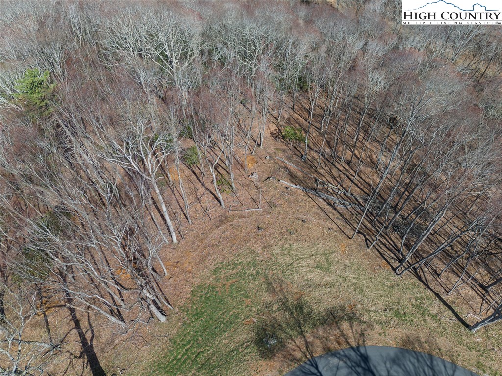 Lot 36 Poplar Forest Drive Boone, NC 28607 - Photo 16 of 21
