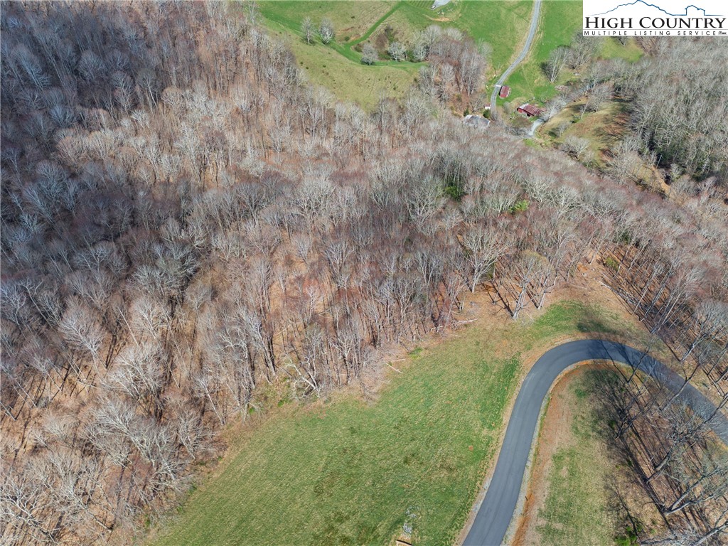 Lot 36 Poplar Forest Drive Boone, NC 28607 - Photo 18 of 21 a view of a yard with shrubs