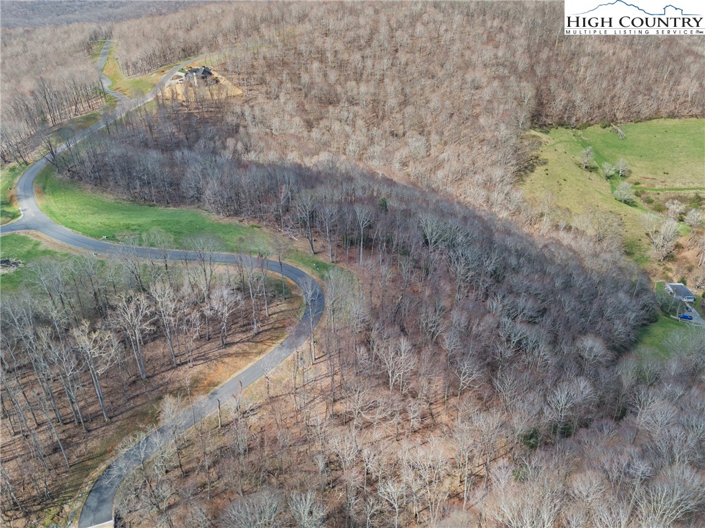 Lot 36 Poplar Forest Drive Boone, NC 28607 - Photo 19 of 21 a view of a dry yard with trees