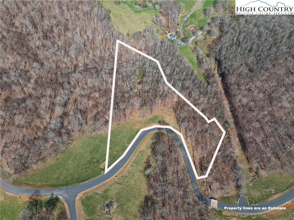Lot 36 Poplar Forest Drive Boone, NC 28607 - Photo 4 of 21