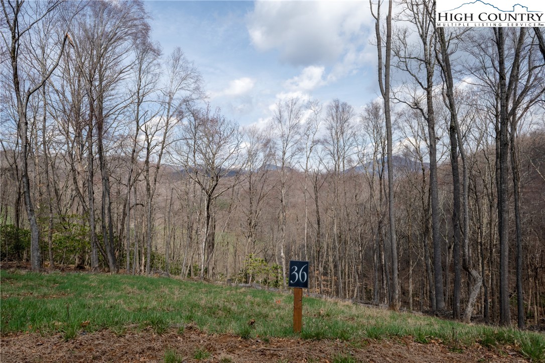 Lot 36 Poplar Forest Drive Boone, NC 28607 - Photo 5 of 21 a backyard of a house with lots of green space