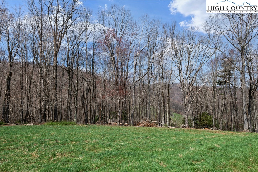 Lot 36 Poplar Forest Drive Boone, NC 28607 - Photo 6 of 21 a view of backyard with large trees