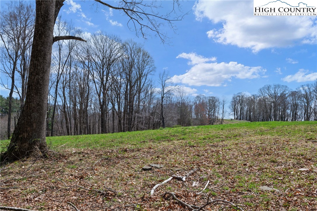 Lot 36 Poplar Forest Drive Boone, NC 28607 - Photo 9 of 21 a view of a backyard