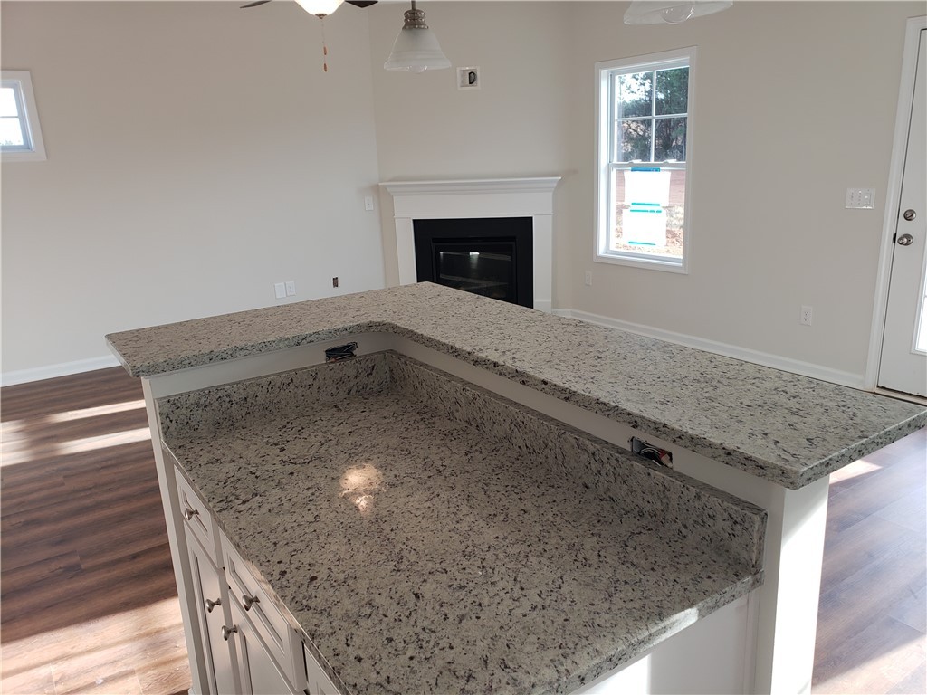 308 Phillips Drive Pendleton, SC 29670 - Photo 10 of 23