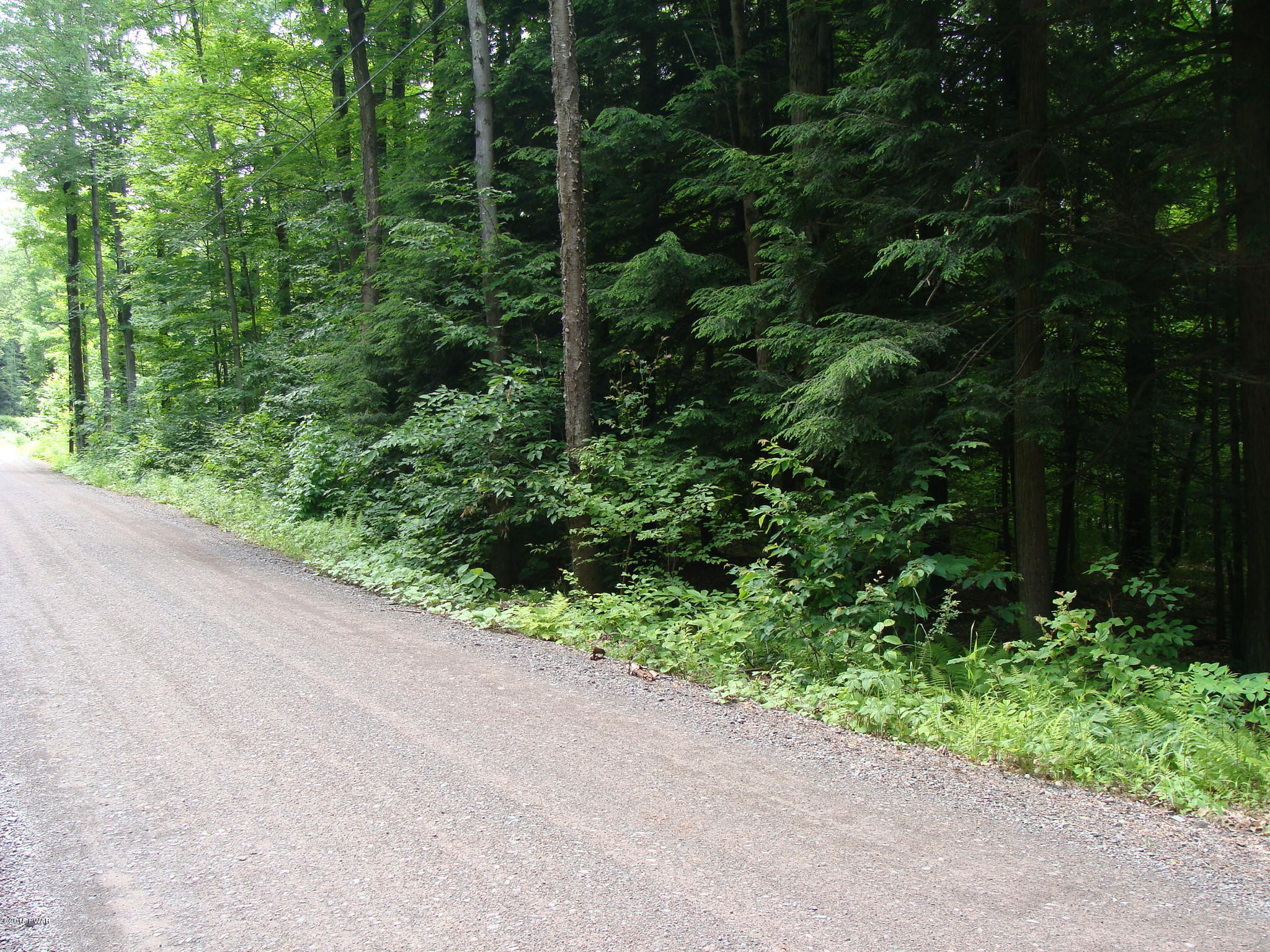 Old Gravity Road Lake Ariel, PA 18436 - Photo 5 of 9