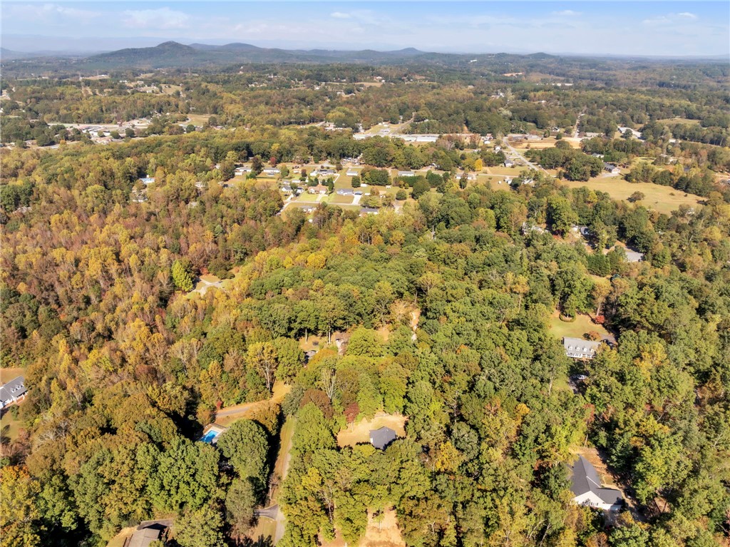 126 Edinburg Road Pickens, SC 29671 - Photo 27 of 31