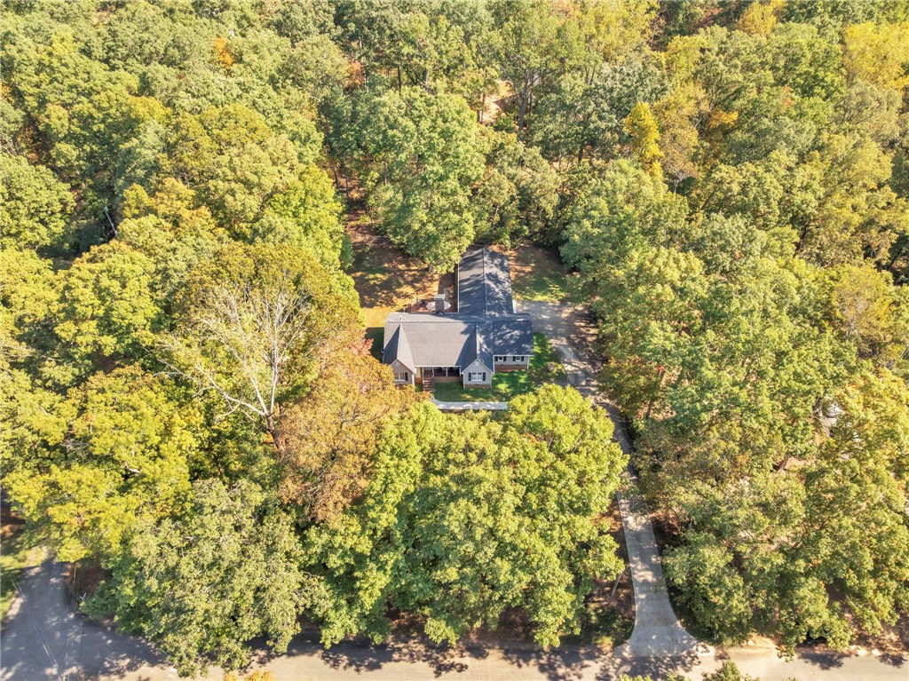 126 Edinburg Road Pickens, SC 29671 - Photo 31 of 31