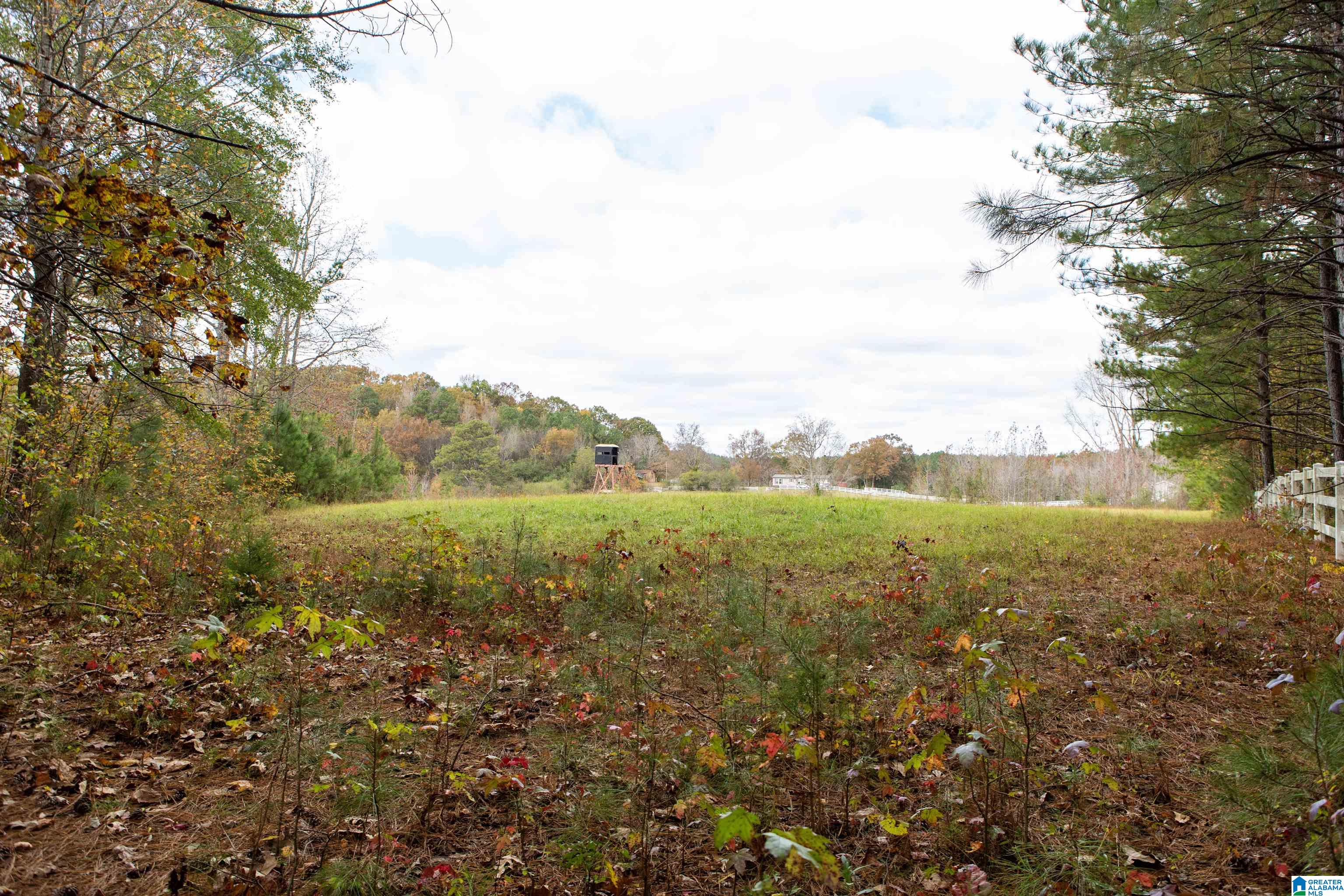 10543 Ford Valley Road Gadsden, AL 35905 - Photo 29 of 31