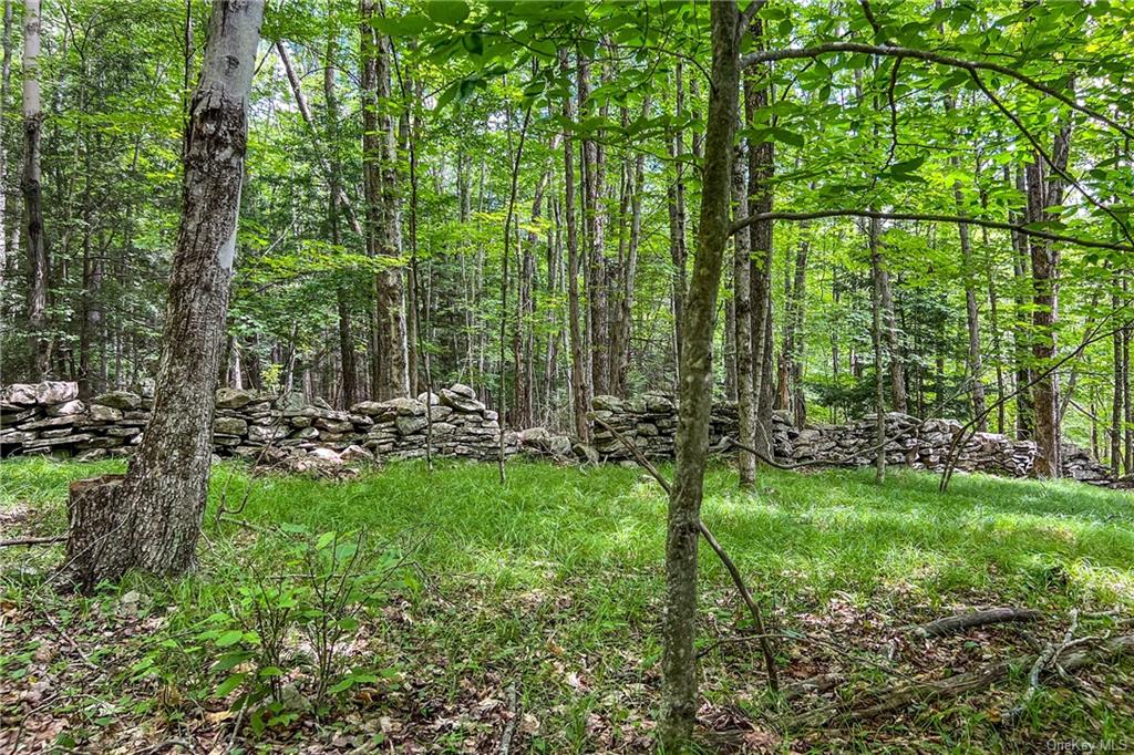 28 Evergreen Road Ashland, NY 12496 - Photo 34 of 36 Stonewall