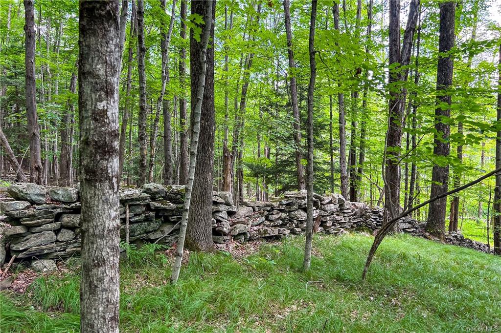 28 Evergreen Road Ashland, NY 12496 - Photo 35 of 36 Stonewall