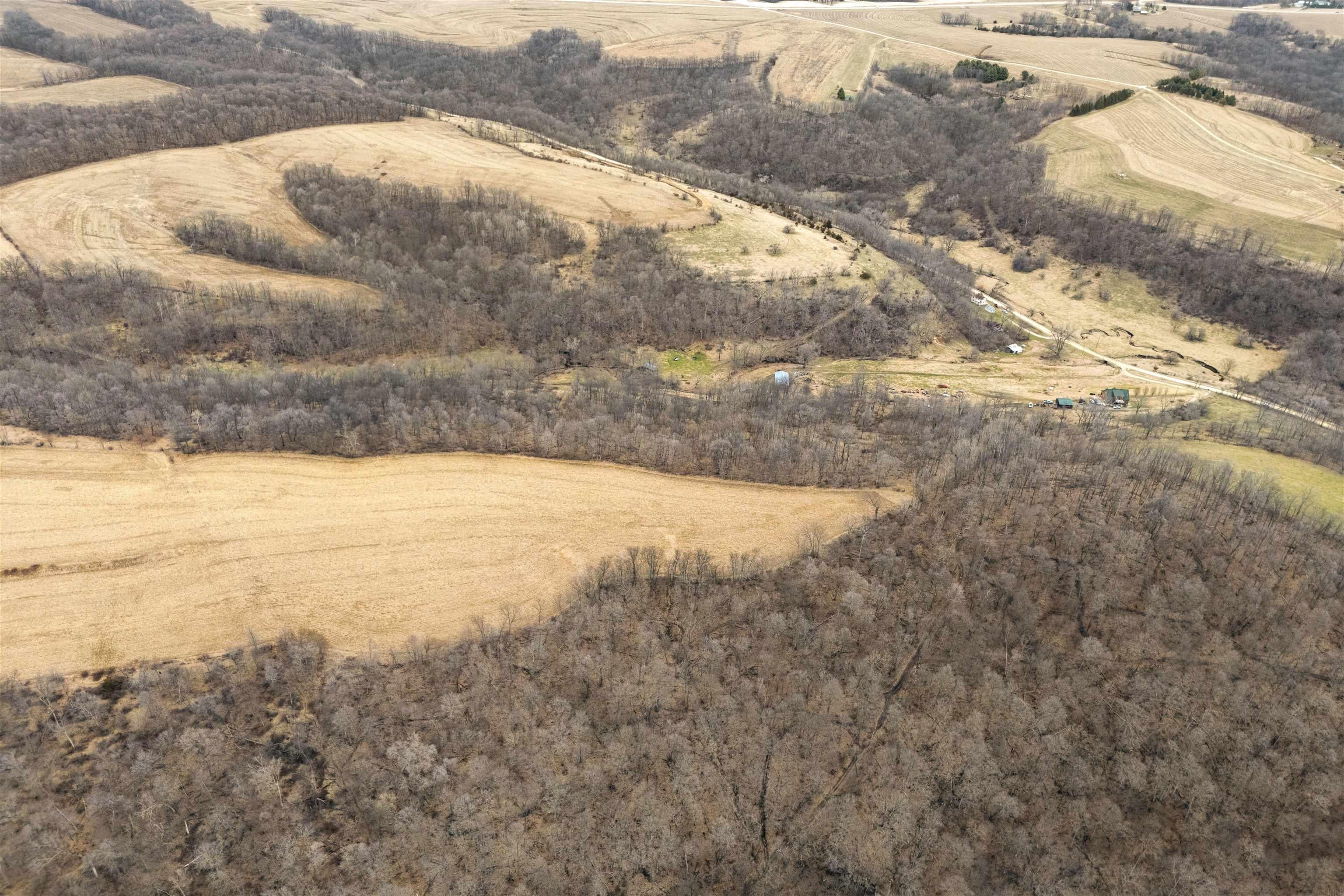 Dry Hollow Road Monona, IA 52159 - Photo 13 of 16 Gallery Image 13