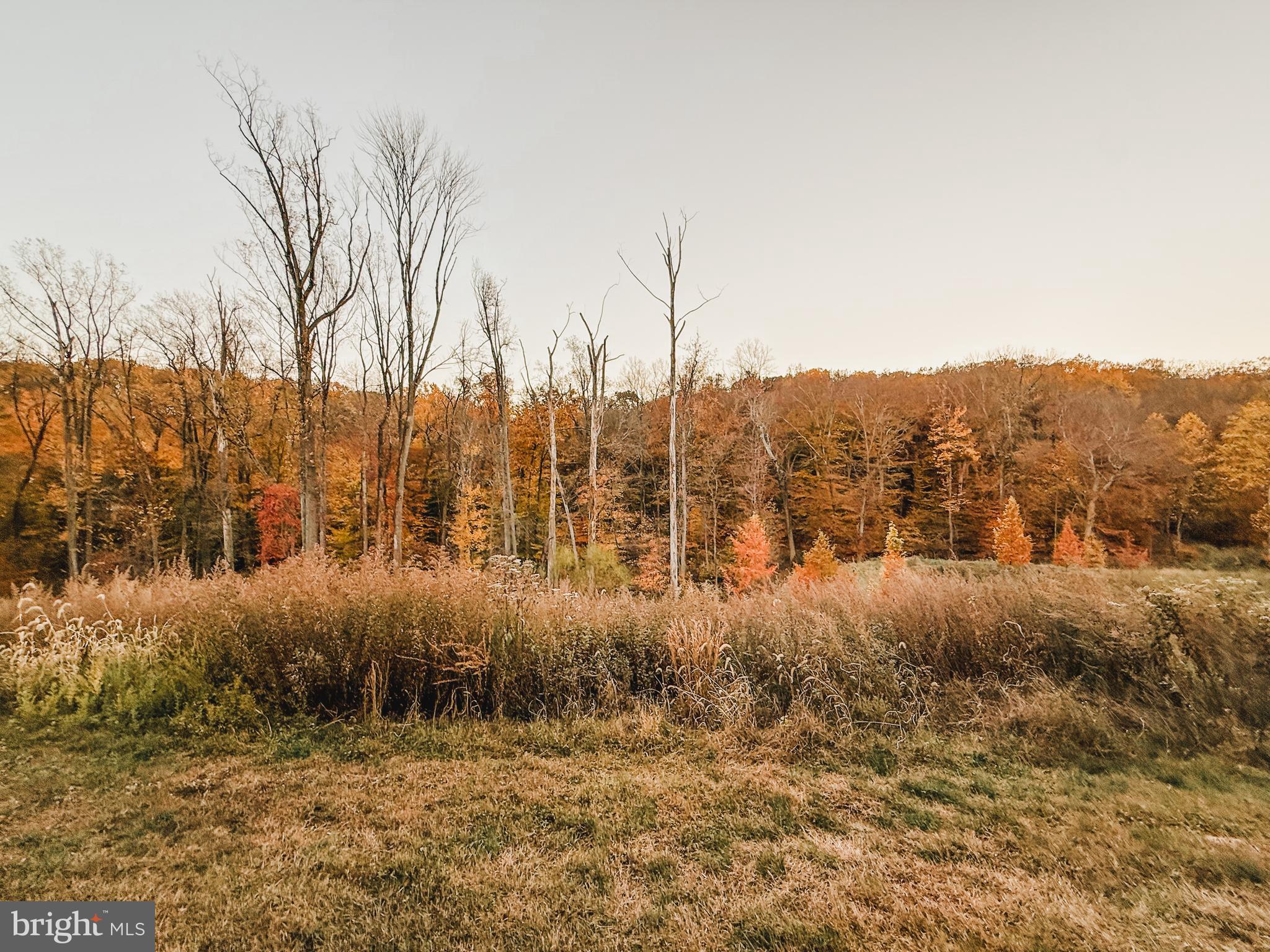 3044 Marias Way Garnet Valley, PA 19060 - Photo 63 of 63 a view of outdoor space and yard