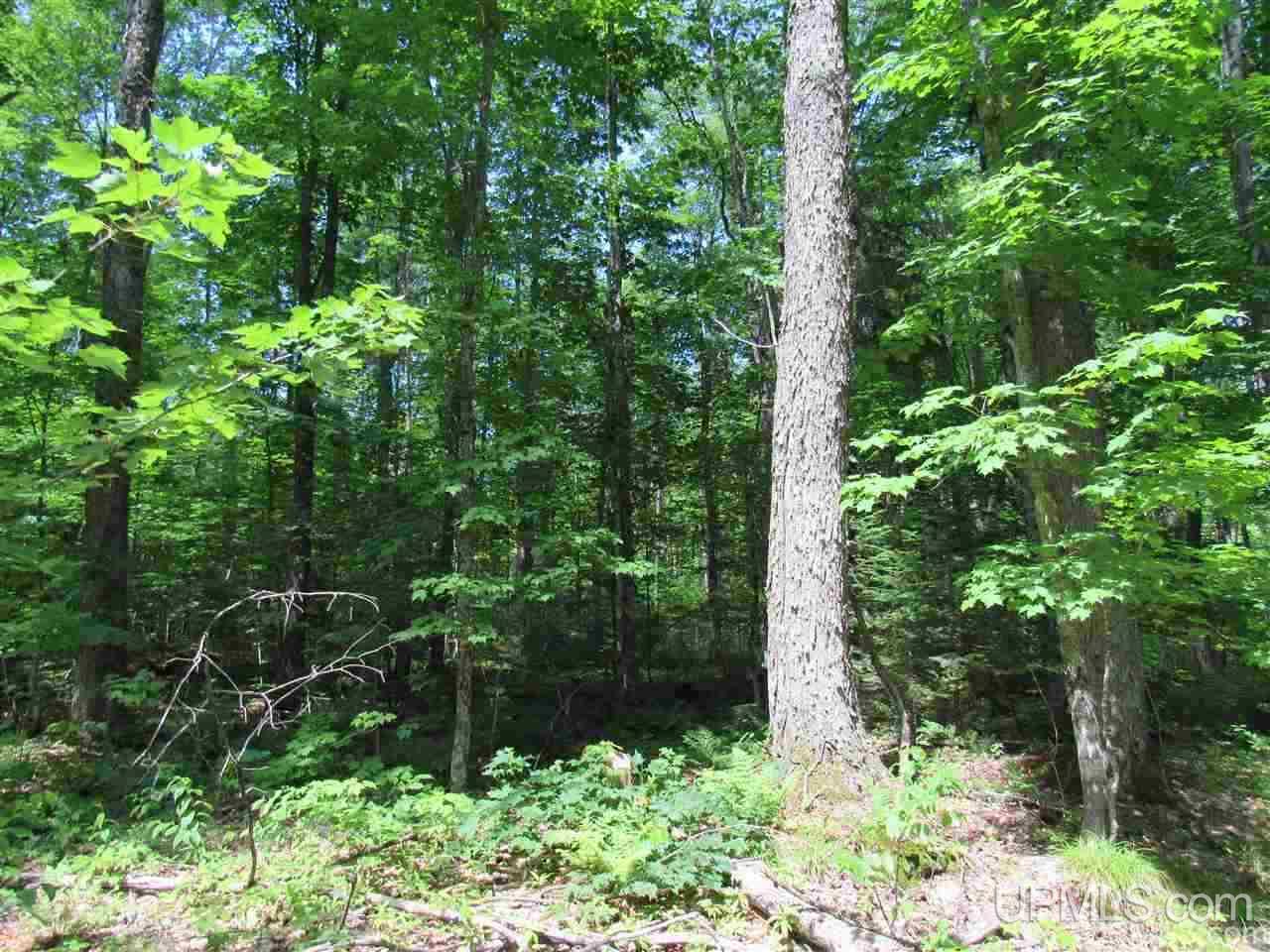 2804-acres Co Rd 442 McMillan, MI 49853 - Photo 22 of 48