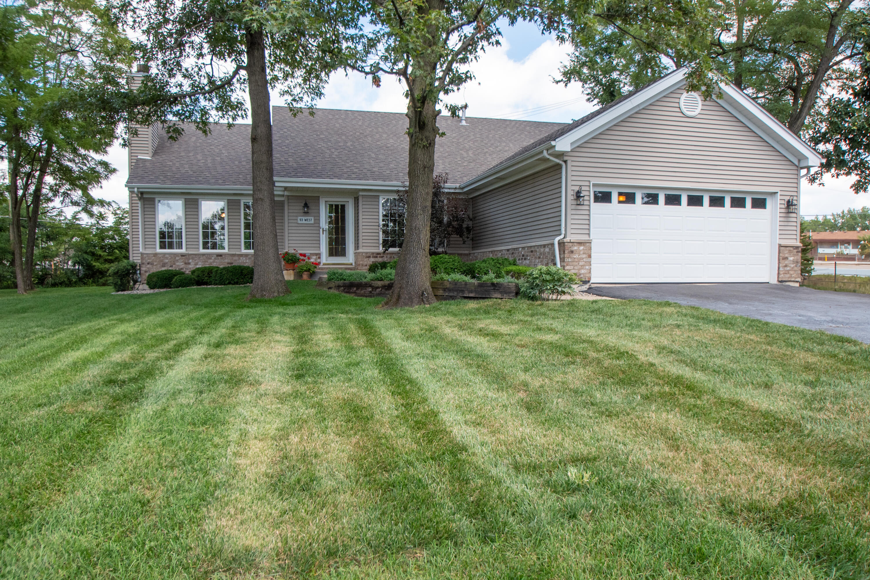 a view of a yard in front of a house with plants and large tree