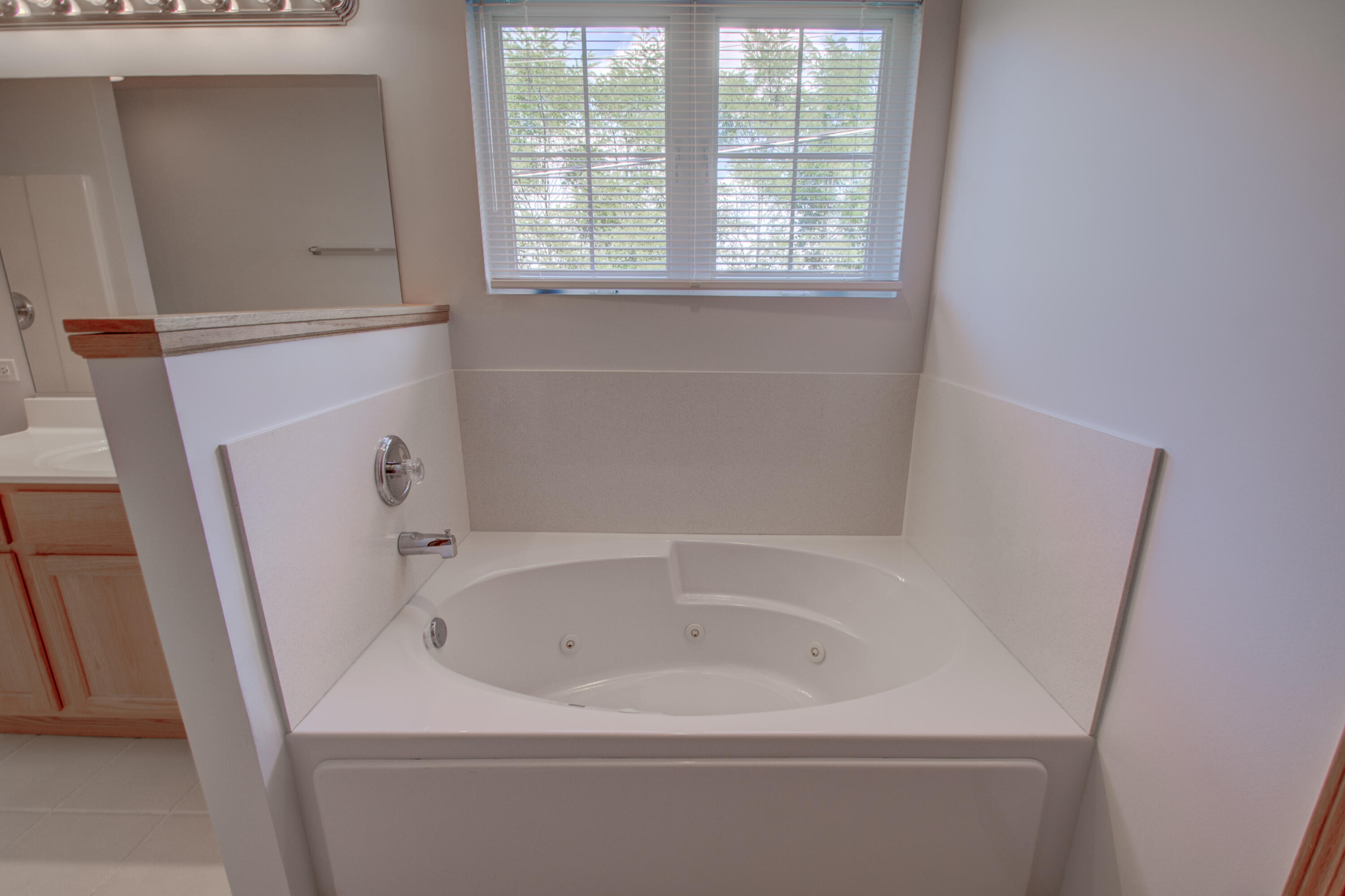 93 West Richton Road Crete, IL 60417 - Photo 18 of 51 a white bath tub sitting next to a window