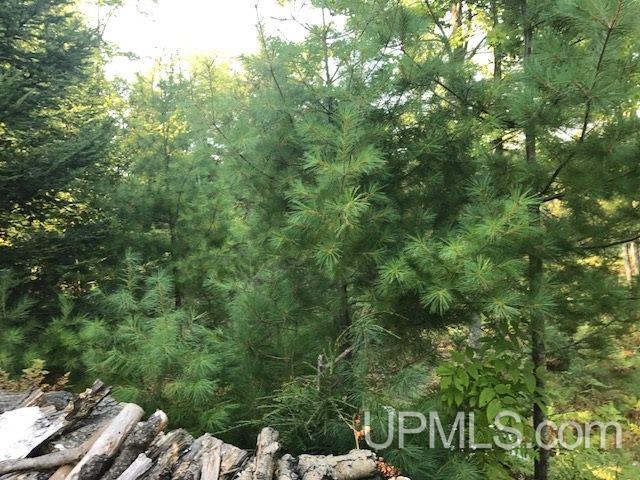 7620 30.5 Road Rapid River, MI 49878 - Photo 29 of 36