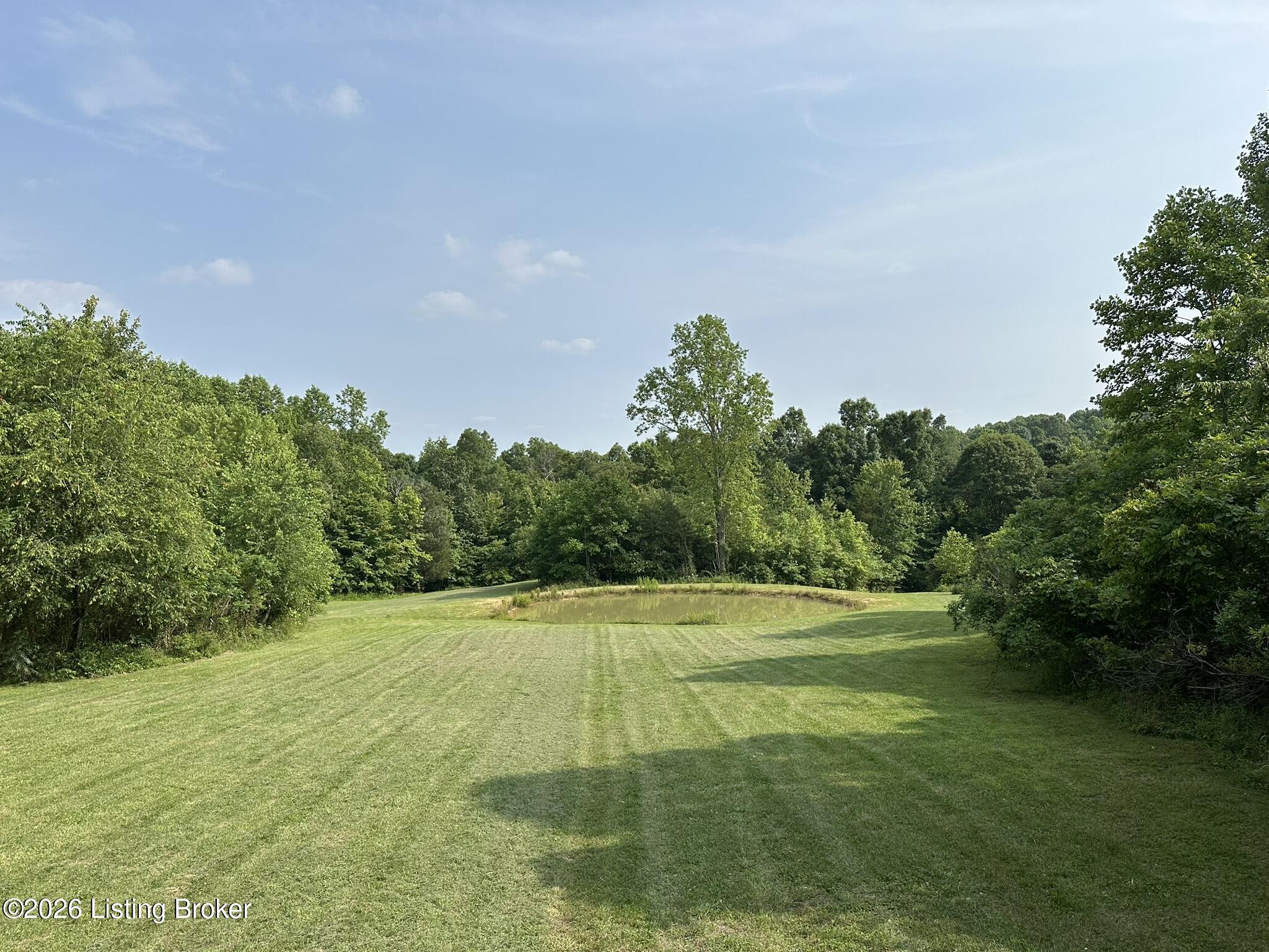 1010 Lone Oak Road Clarkson, KY 42726 - Photo 23 of 26 1010 LoneOak pond grass