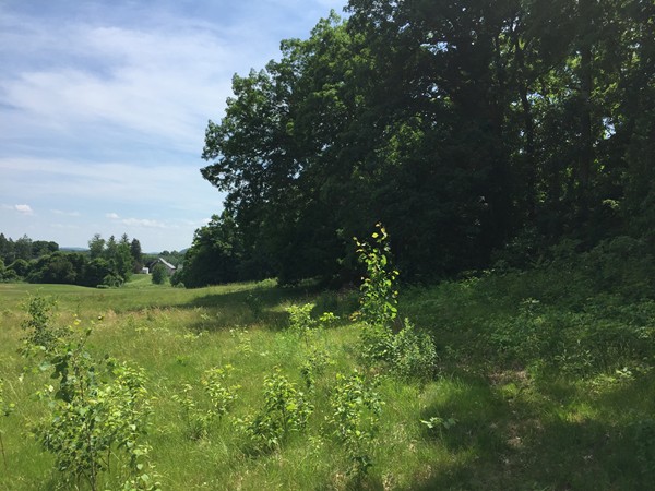 149 Sheep Pasture Road Southwick, MA 01077 - Photo 2 of 9 Gallery Image 2