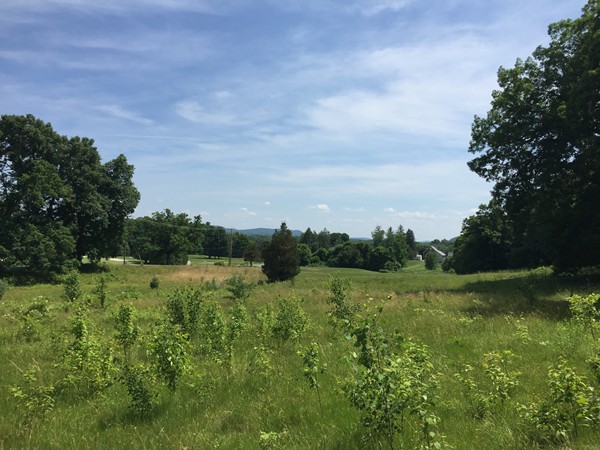 149 Sheep Pasture Road Southwick, MA 01077 - Photo 3 of 9 Gallery Image 3