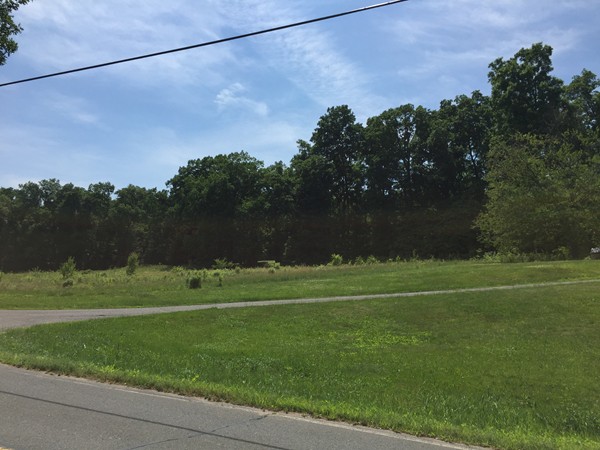 149 Sheep Pasture Road Southwick, MA 01077 - Photo 8 of 9 Gallery Image 8