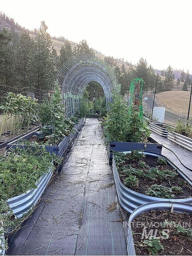 1000 Pardee Road Kamiah, ID 83536 - Photo 43 of 50 Expansive garden area featuring raised corrugated metal garden beds, a central walking path with weed barrier, and a large metal archway trellis