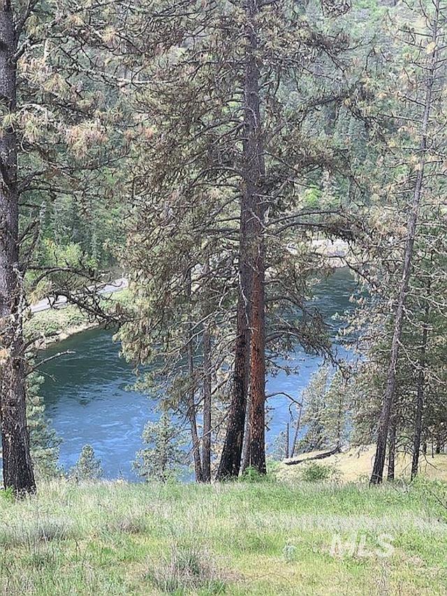 1000 Pardee Road Kamiah, ID 83536 - Photo 9 of 50 Natural landscape with an expansive river and mature pine trees