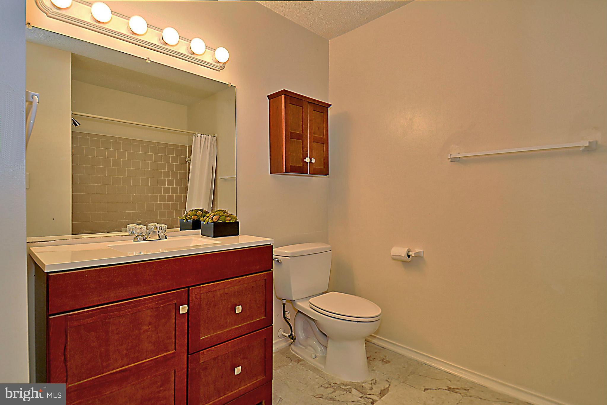 20952 Timber Ridge Terrace, Unit 203 Ashburn, VA 20147 - Photo 12 of 19 Bath