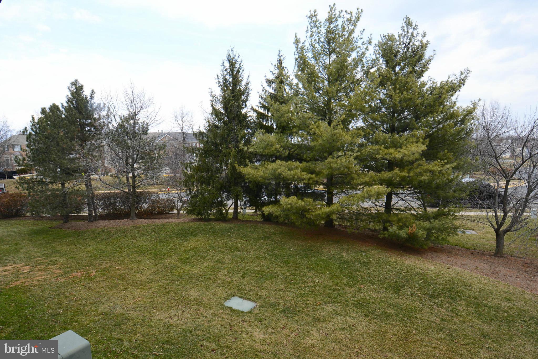 20952 Timber Ridge Terrace, Unit 203 Ashburn, VA 20147 - Photo 17 of 19 View