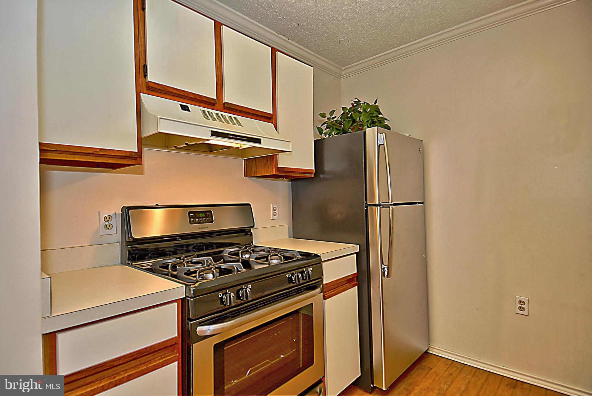 20952 Timber Ridge Terrace, Unit 203 Ashburn, VA 20147 - Photo 8 of 19 Kitchen