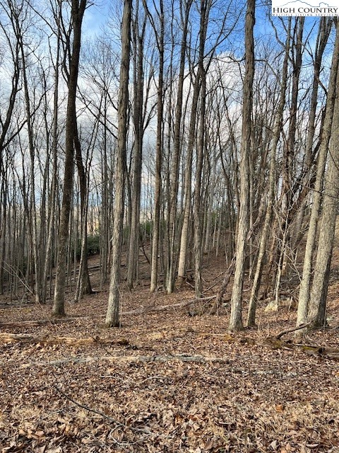 Mcneill Road Lansing, NC 28643 - Photo 13 of 18