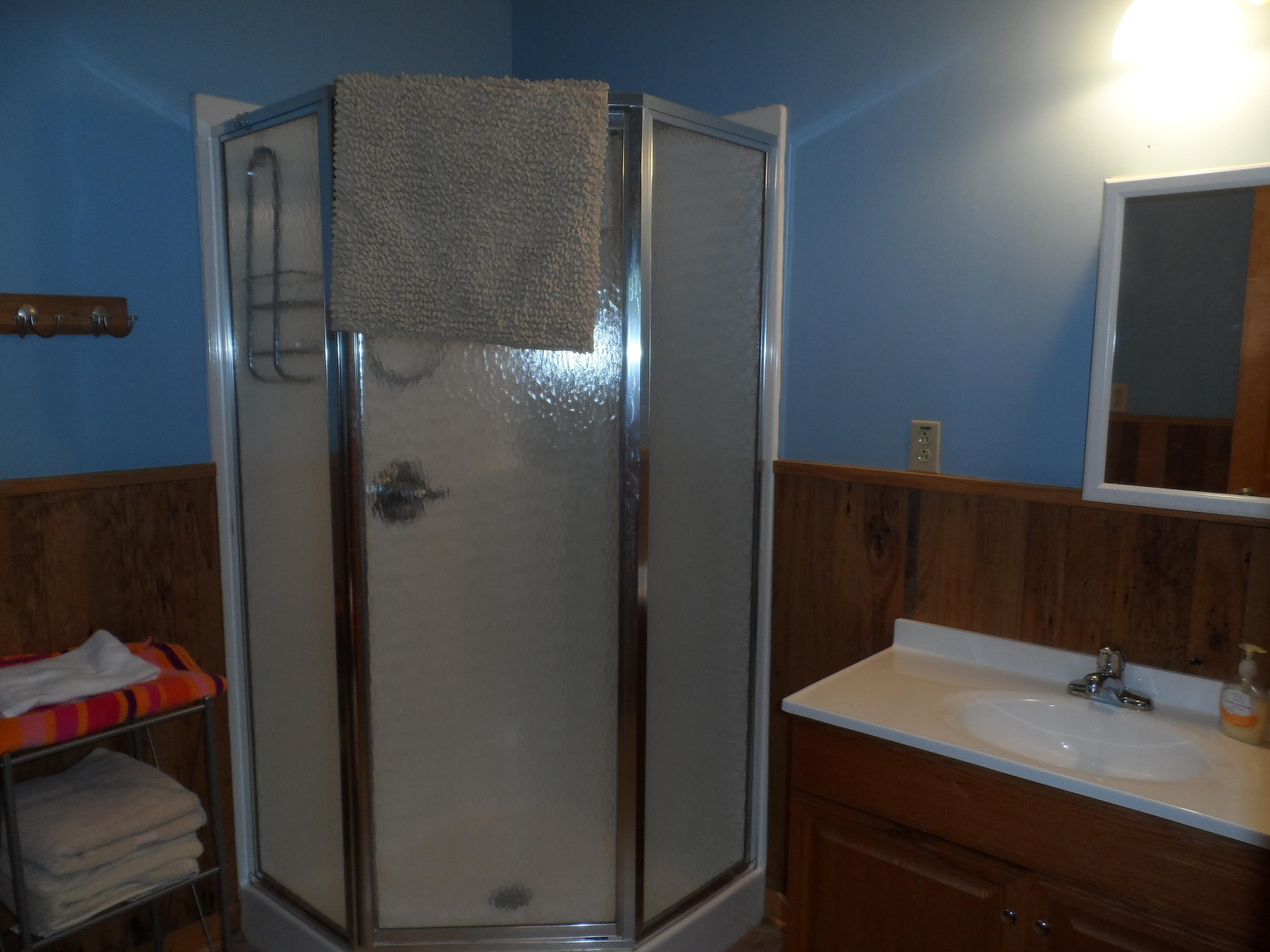 395 East Norris Point Road La Follette, TN 37766 - Photo 30 of 36 SAM_5265