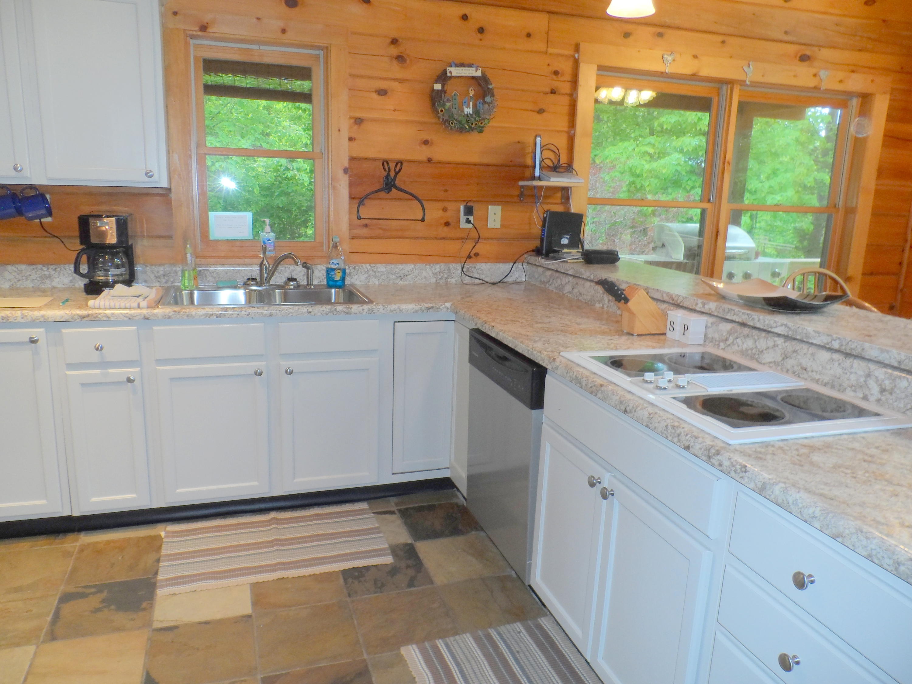 395 East Norris Point Road La Follette, TN 37766 - Photo 8 of 36 SAM_5350