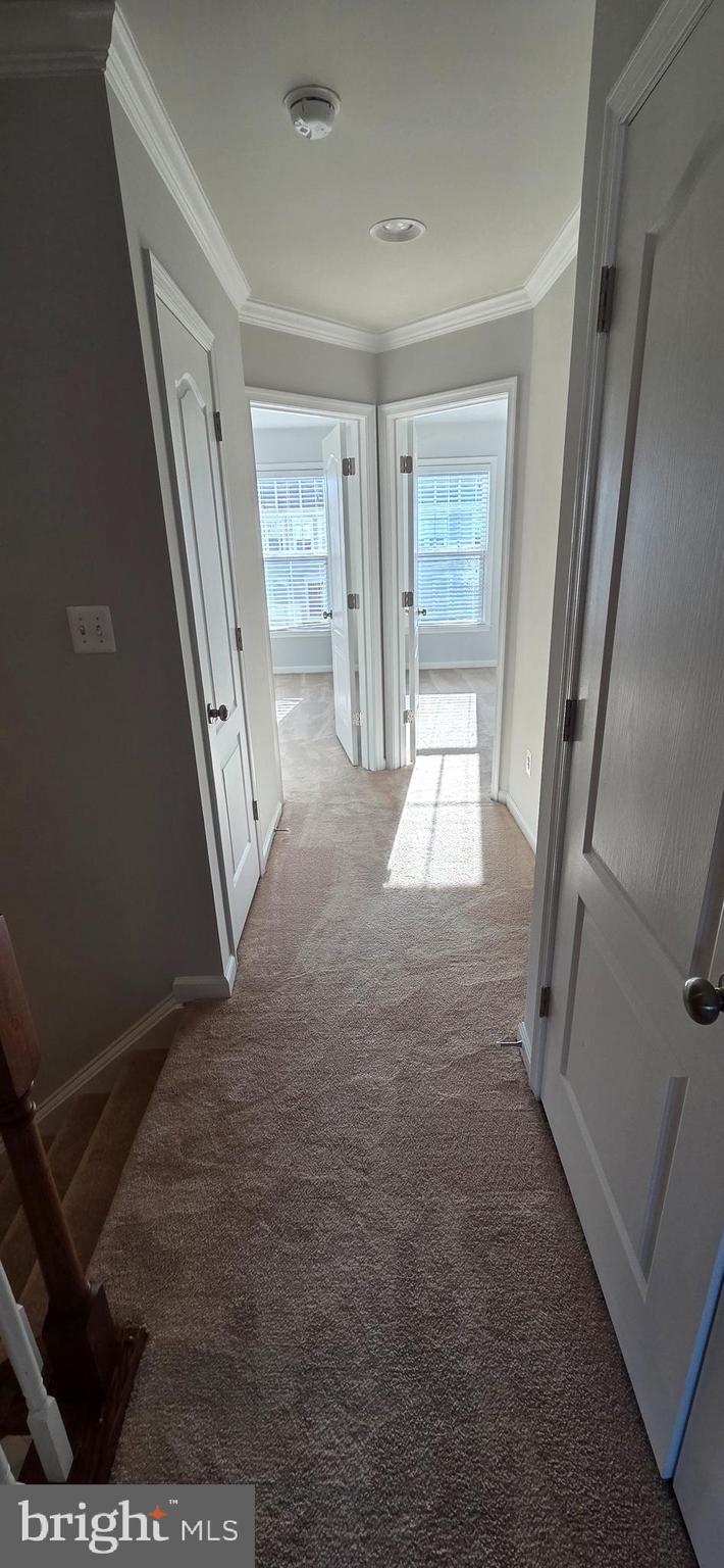 41836 Diabase Square Aldie, VA 20105 - Photo 25 of 29 a view of empty room