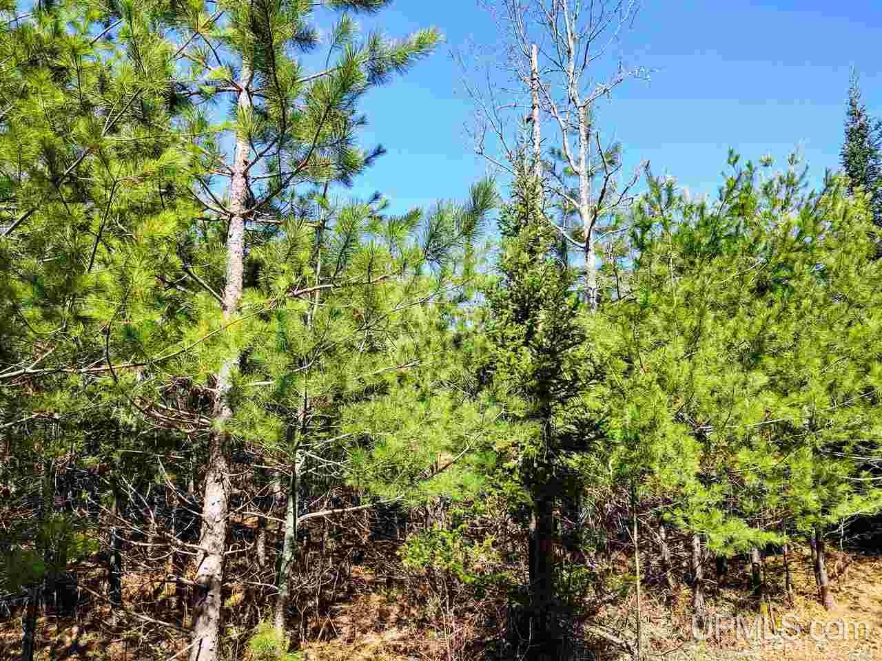 Tbd Forest Hwy 16 Road Iron River, MI 49935 - Photo 29 of 49