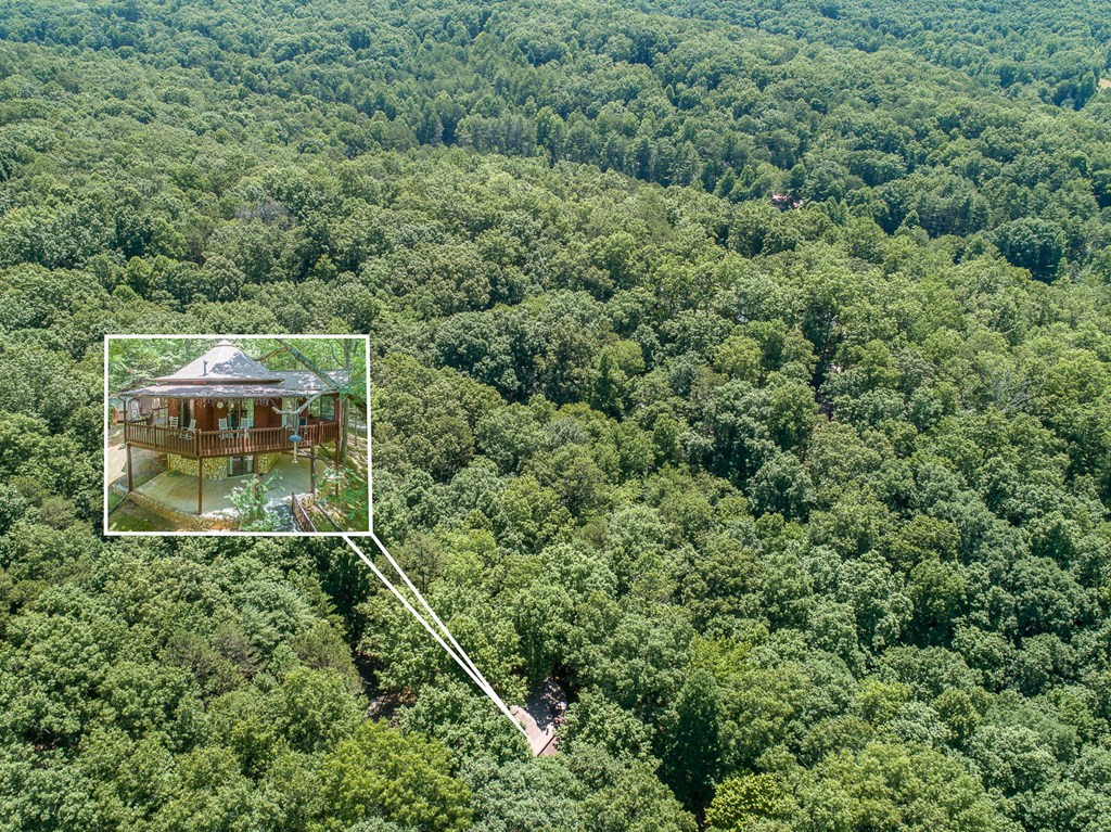 371 Persimmon Hts Road Murphy, NC 28906 - Photo 4 of 51 Gallery Image 4