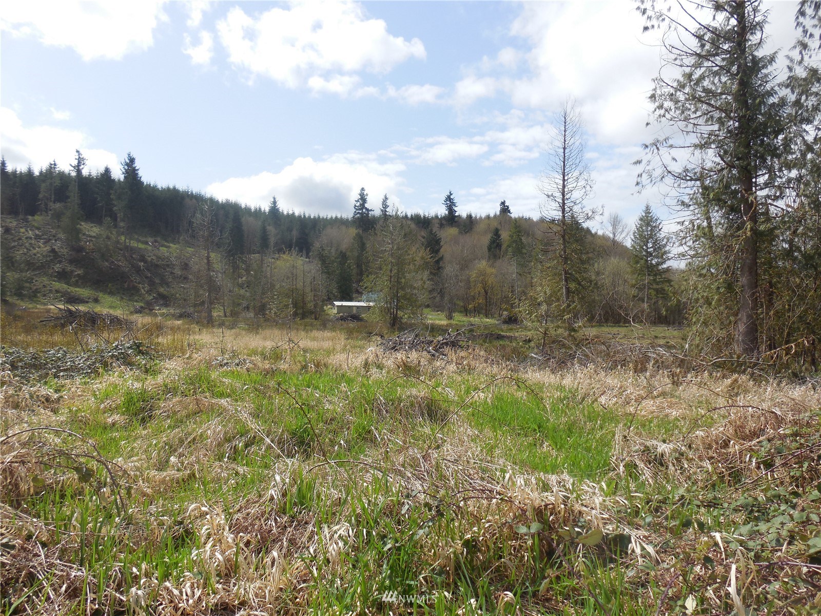 00 Smokey Valley Road Toledo, WA 98591 - Photo 5 of 22