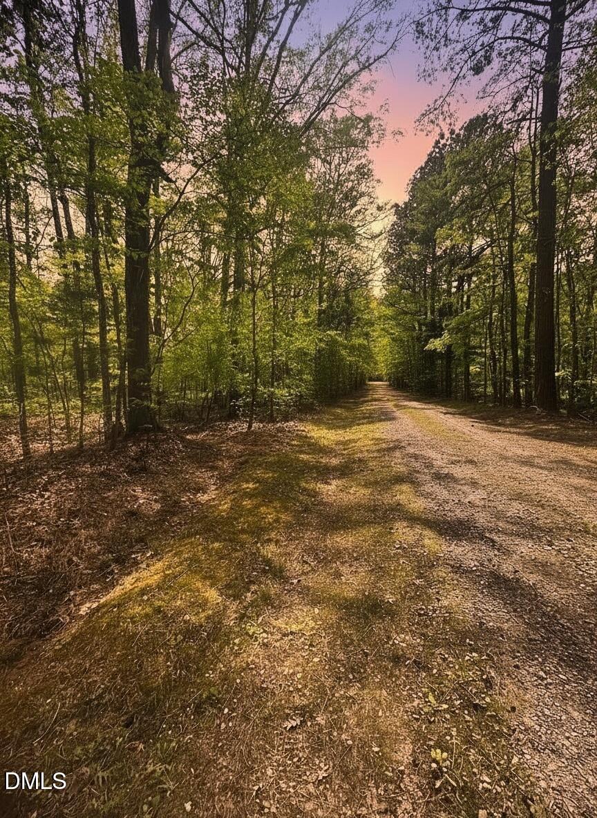 5096 Forest Srv Road Oxford, NC 27565 - Photo 6 of 7 View of Road Sunset