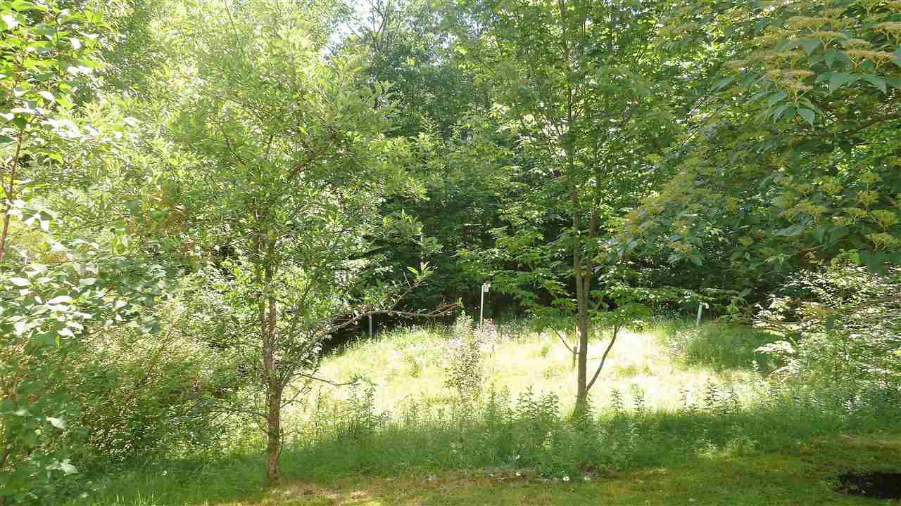 212 Birch Hill Road New Durham, NH 03855 - Photo 10 of 19