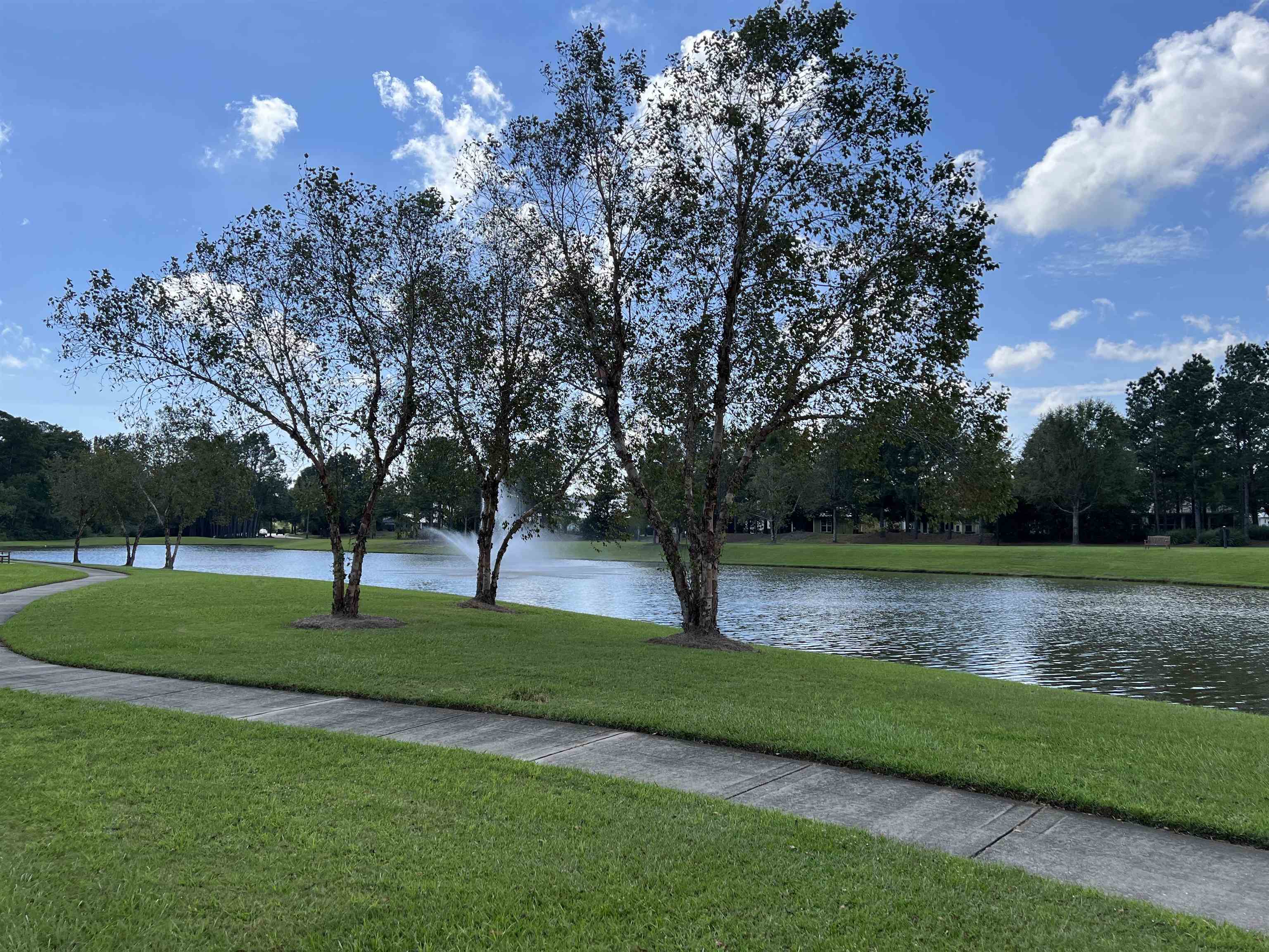 Lot #68 Craigend Loop Gulf Shores, AL 36542 - Photo 3 of 4