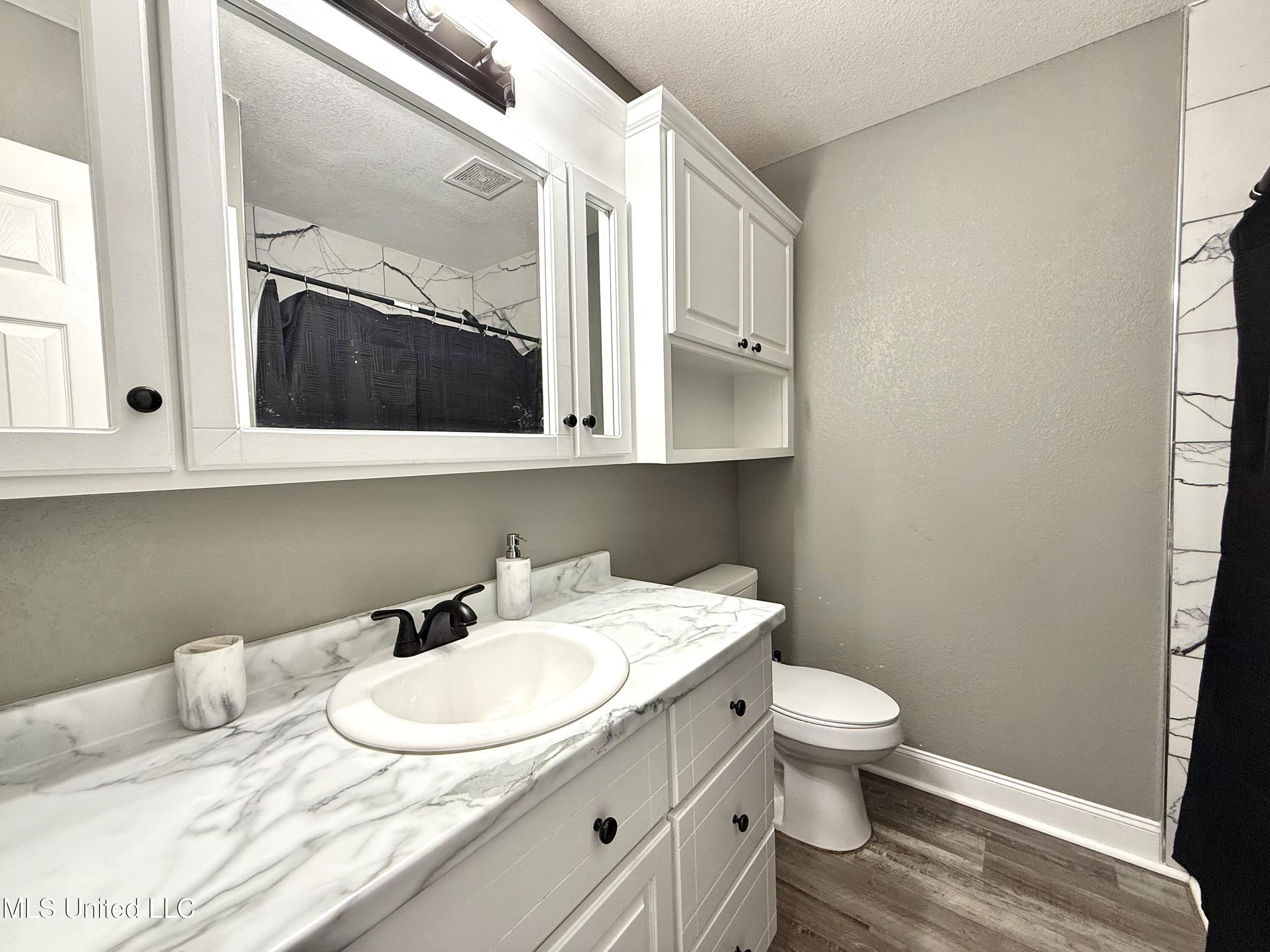 10312 Kevin Drive Moss Point, MS 39562 - Photo 13 of 19 Bath