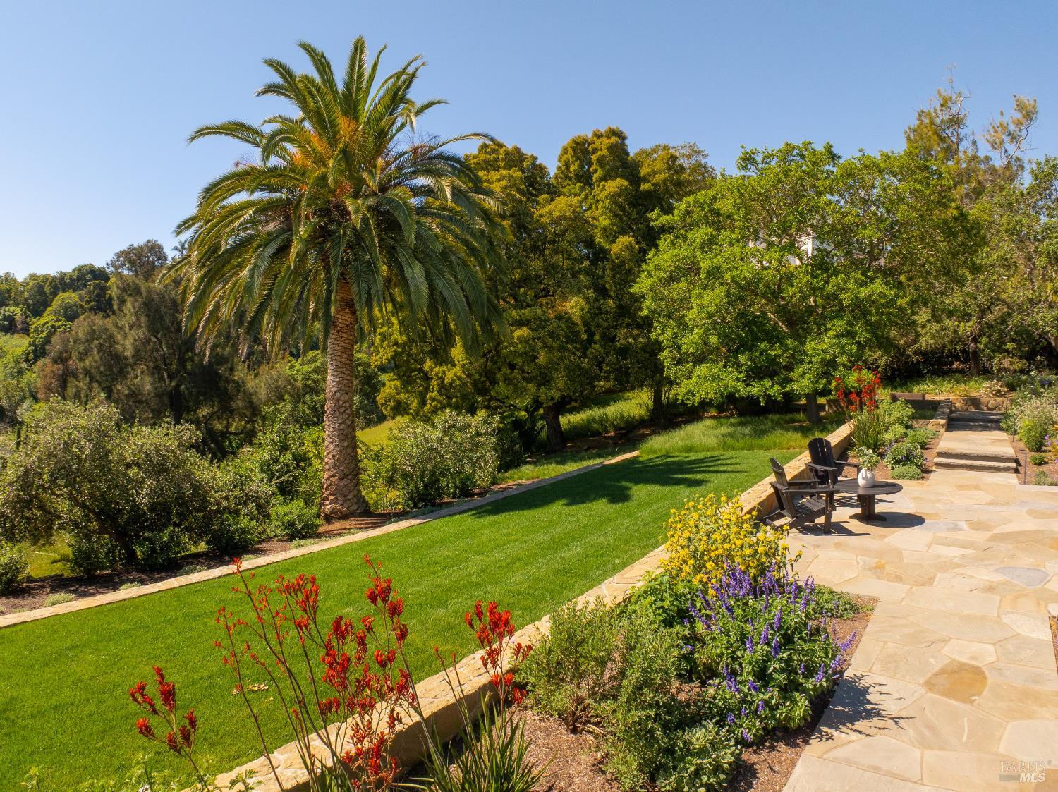 313 Summit Avenue San Rafael, CA 94901 - Photo 22 of 28