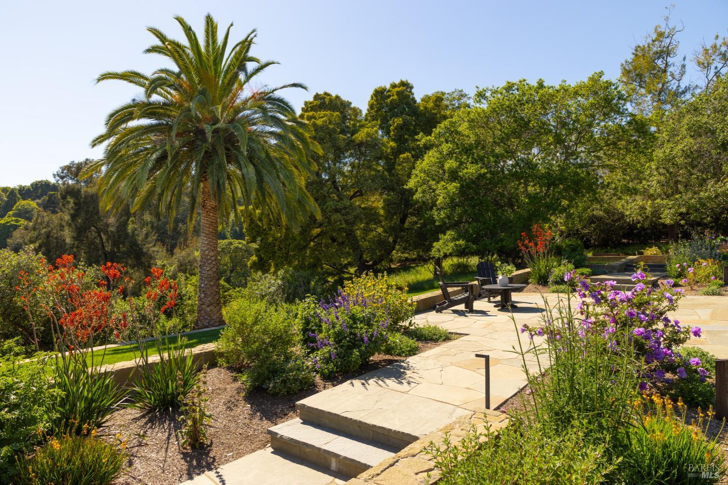 313 Summit Avenue San Rafael, CA 94901 - Photo 3 of 28