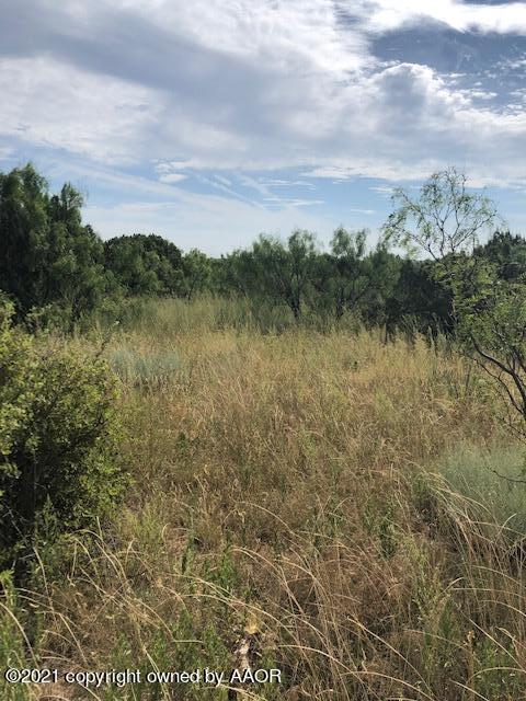 100 Ranch Parkway Canyon, TX 79015 - Photo 16 of 20 100 Ranch Pkwy
