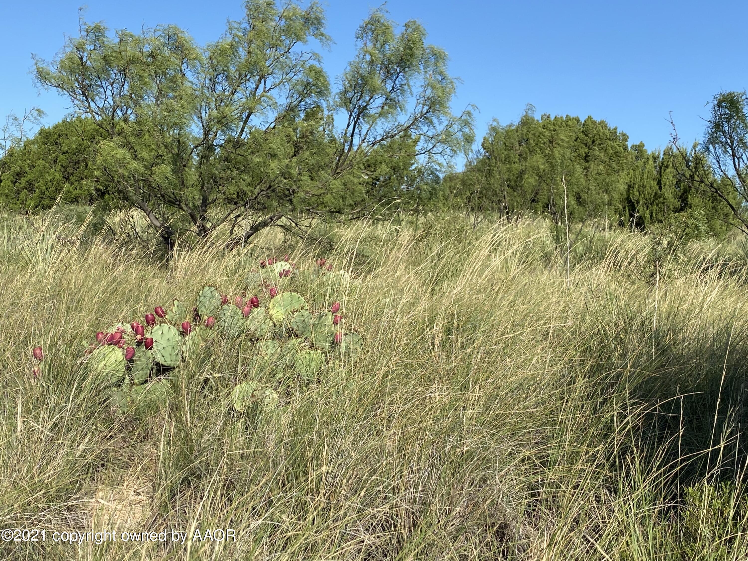100 Ranch Parkway Canyon, TX 79015 - Photo 3 of 20 Lot Foliage